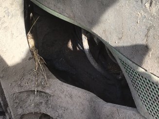 Tracteur agricole Deutz Agrofarm 100 - 19