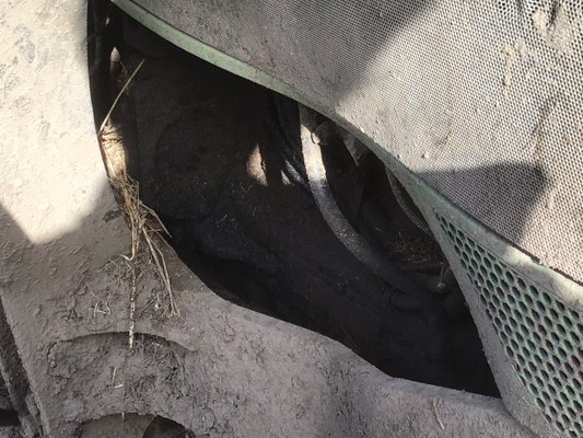 Tracteur agricole Deutz agrofarm 100